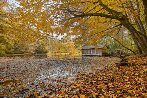 Gemeinde Tarsdorf Bezirk Braunau Huckinger See Herbst (Dirschl Johann) Österreich BR